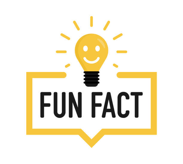 DCNurseryFL's tweet photo. Fun Fact: Sod can be harvested in a variety of grass types, including Bermuda, fescue, and zoysia. Each type has its unique characteristics and benefits for your lawn. https://t.co/devjR5h689