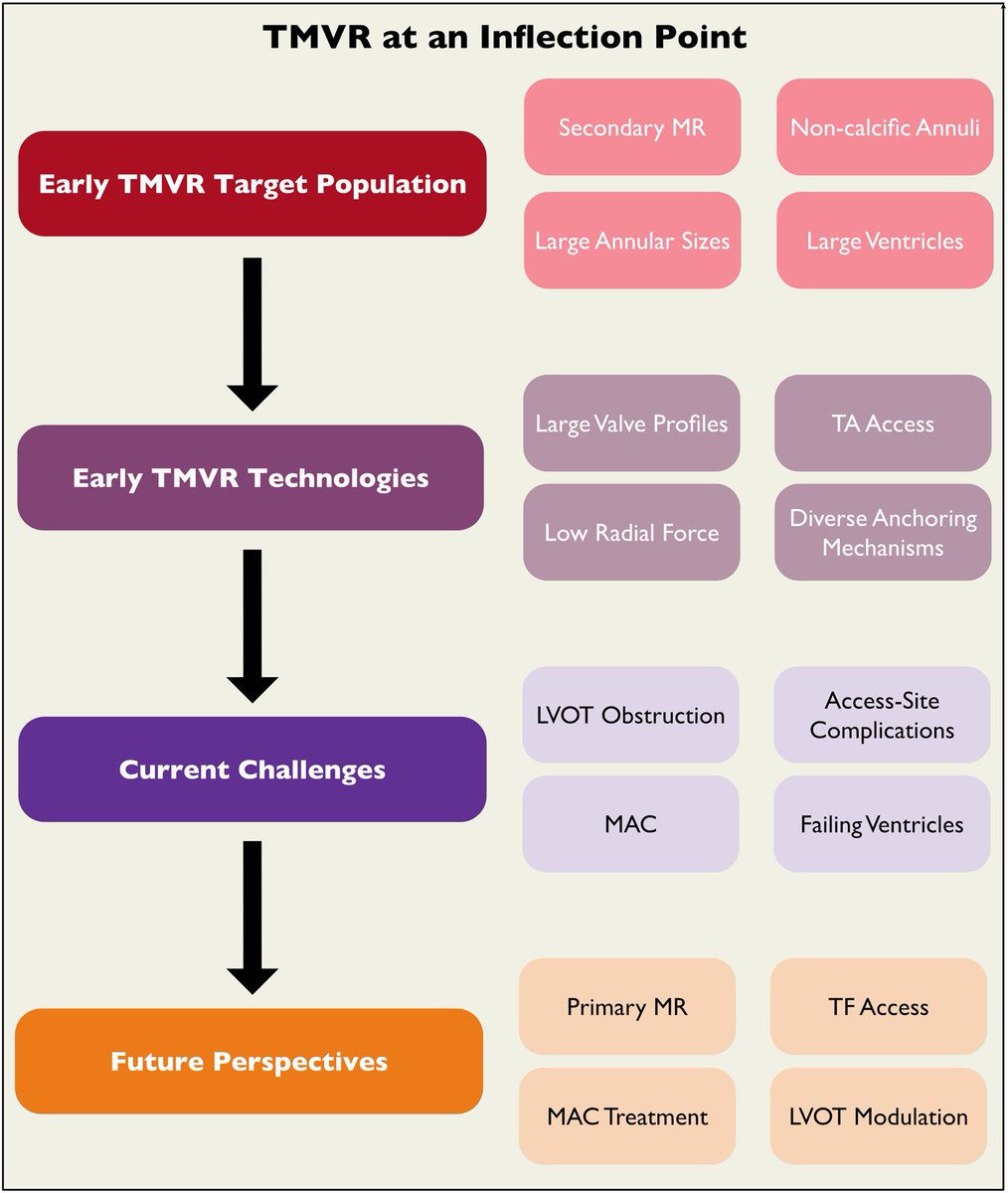 Happy to share our viewpoint article „#TMVR at an inflection point: lessons learned and the path forward“ just published in @ESC_Journals @jgranadacrf academic.oup.com/eurheartj/arti…