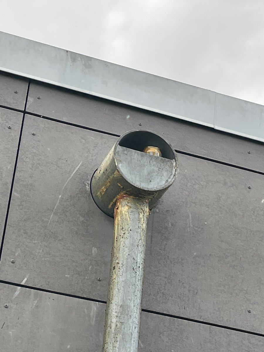 rockhunter5506's tweet photo. Lol #Notamonkeyshine #monkeyshines2024 #monkeyshines https://t.co/5MYkZtdWDz