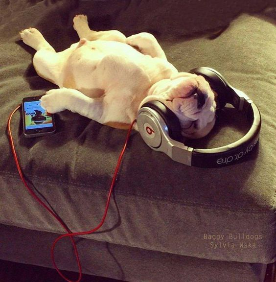 rodri1718's tweet photo. Escuchando el nuevo disco de natos y waor https://t.co/U6e0yigqOd