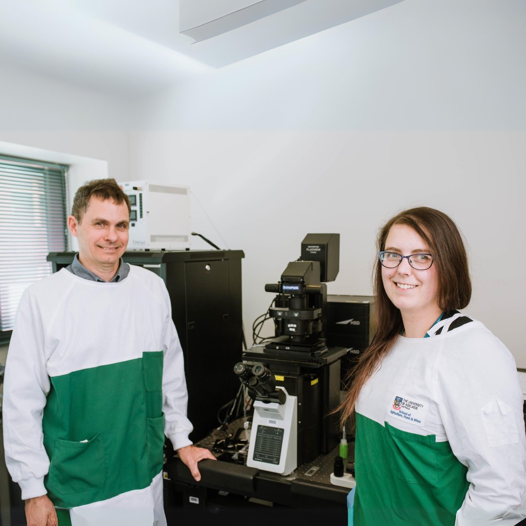 Sanfilippo CFoundtn (@sfcfoundtn) on Twitter photo Project Update: A/Prof Michael Lardelli from <a href="/UniofAdelaide/">Uni of Adelaide</a> & team have completed their Incubator project funded by <a href="/SFCFoundtn/">Sanfilippo CFoundtn</a> to develop 3 new zebrafish models of #Sanfilippo & undertake behavioural & transcriptomic analysis: bit.ly/3uoDpFM #ChildhoodDementia <a href="/ADandCD/">Michael Lardelli</a> Project Update: A/Prof Michael Lardelli from <a href="/UniofAdelaide/">Uni of Adelaide</a> & team have completed their Incubator project funded by <a href="/SFCFoundtn/">Sanfilippo CFoundtn</a> to develop 3 new zebrafish models of #Sanfilippo & undertake behavioural & transcriptomic analysis: bit.ly/3uoDpFM #ChildhoodDementia <a href="/ADandCD/">Michael Lardelli</a>