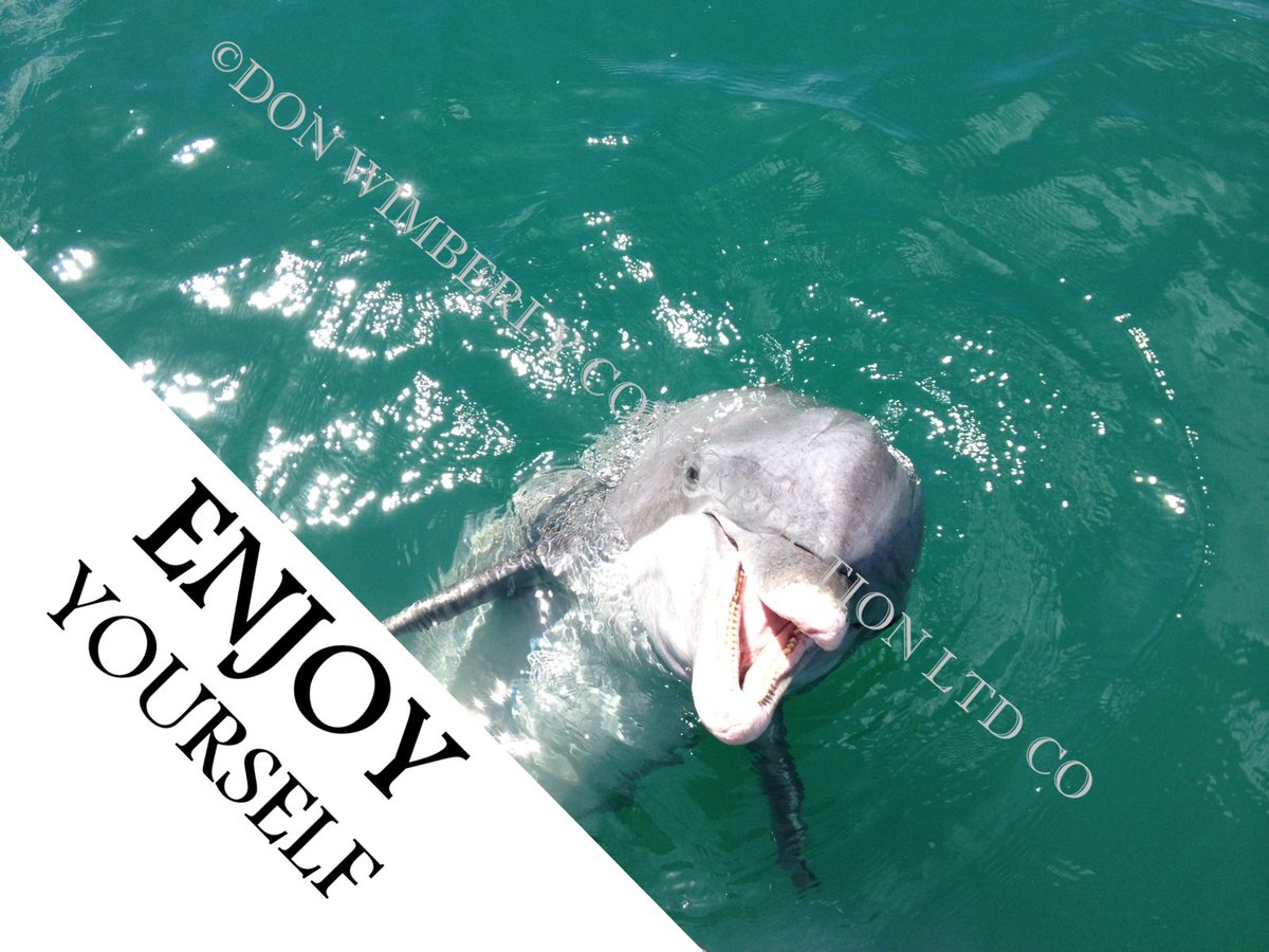 DonWimberlyLLC's tweet photo. #saltlife #enjoylife #staycation #bathroomremodel #customhomebuilder #imitatedbutneverduplicate #luxuryhomes #luxuryhomebuilder #milliondollarhomebuilder #puntagordafl #remodel #restoration #saltlife #upgrade #gas #kitchendesign #design https://t.co/u1vwZBzQmG