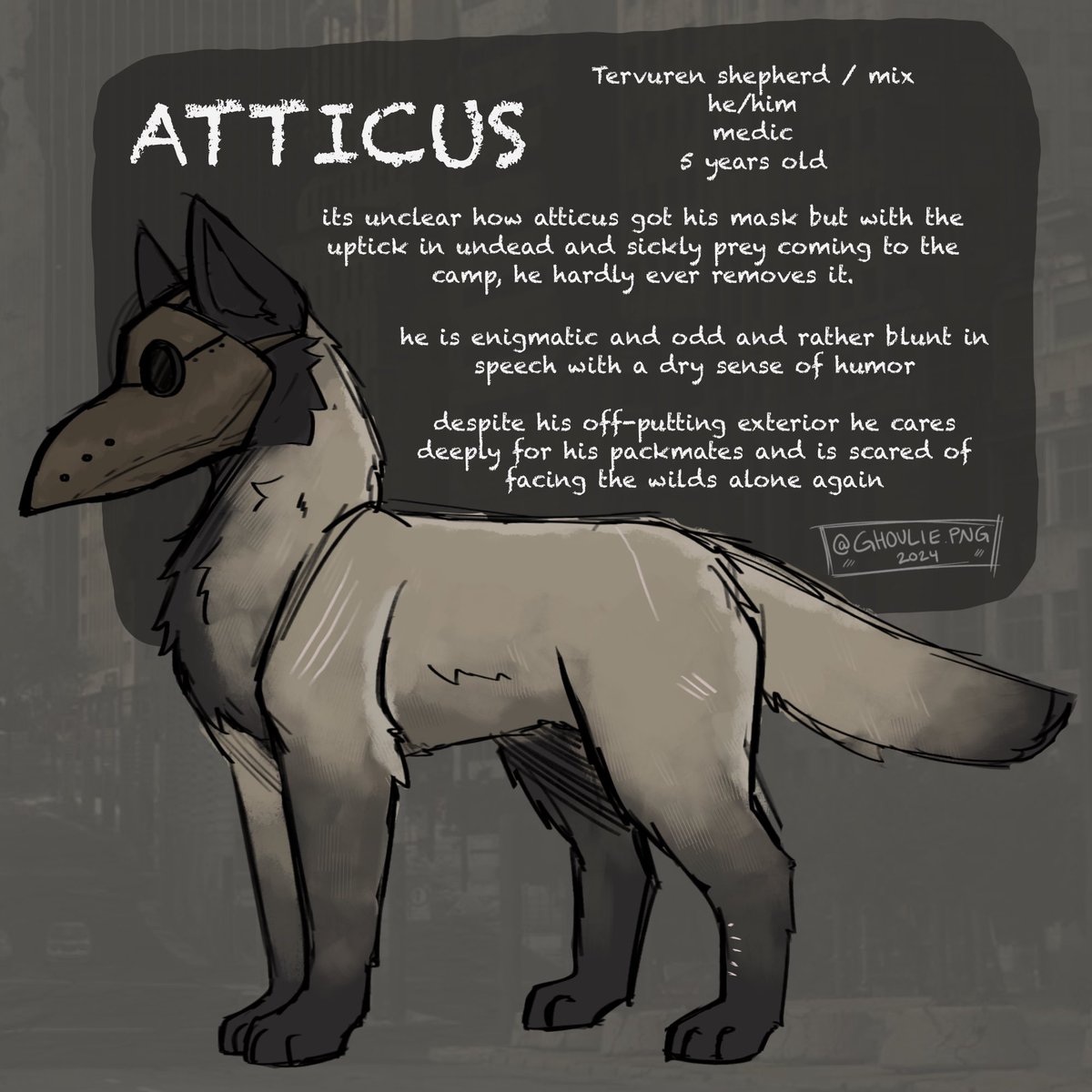 encryptidly's tweet photo. look at this weird dog! everyone say hi atticus! #siriuspack https://t.co/4cbegc7NKB