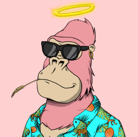KGardner79's tweet image. Newest addition to the fam. Thanks to a Levvy default.
@ChilledKongs #Kongs