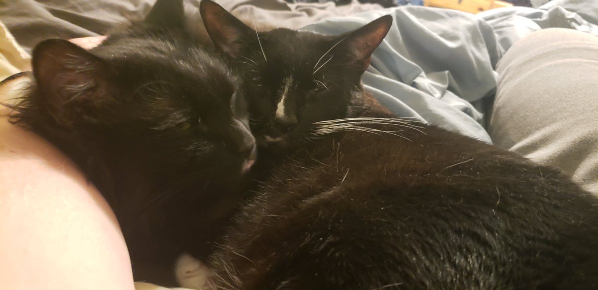 TechCakeMix's tweet image. It&apos;s gonna be alright