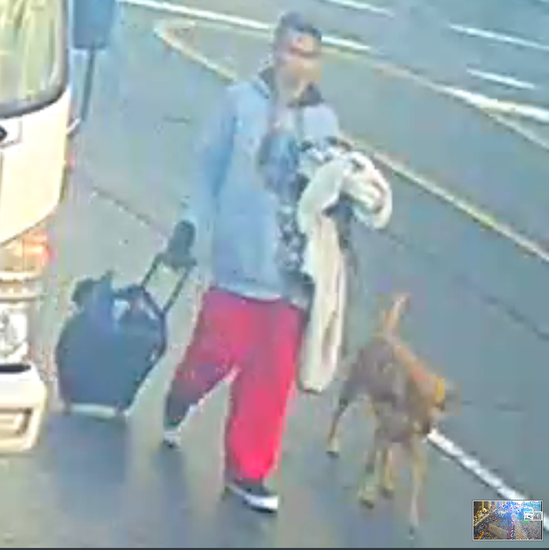 North Vancouver RCMP tweet media