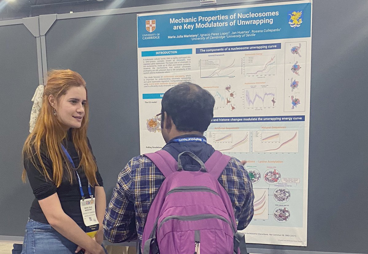 Huge congratulations to super star @JuliaMaristany for winning the SRAA poster award in Multiscale Genome Organisation for her cool work on  physicochemical regulation of nucleosome stability @MGO_BPS #BPS2024 Stayed tuned for the preprint out very soon on