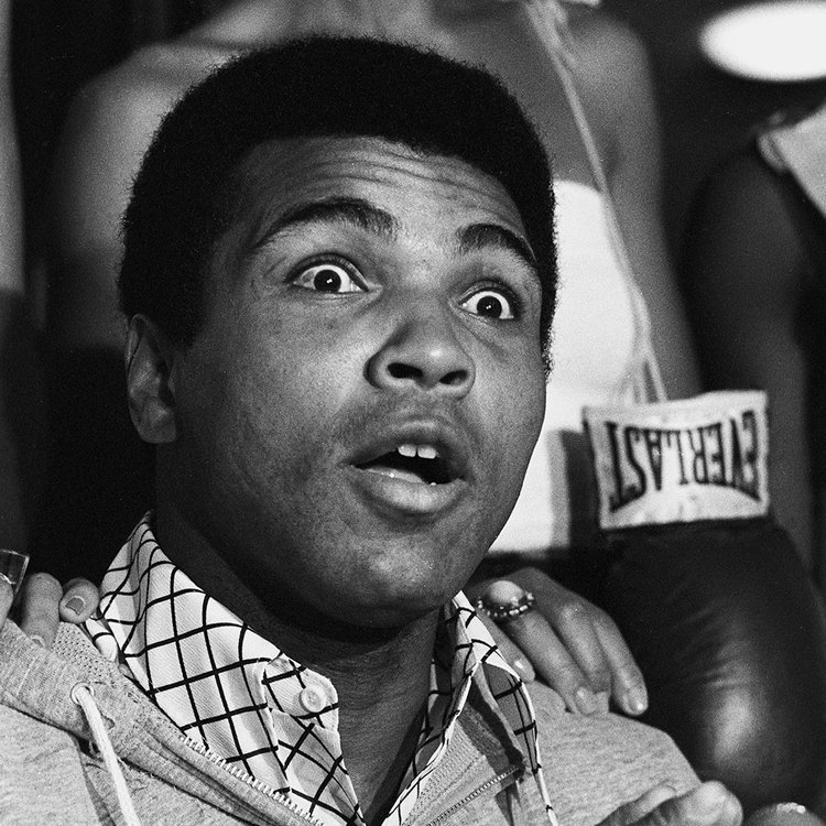 Goodnight &amp; Sweet Dreams ❤️💚🖤

“I’d have been the world’s greatest at whatever I did. If I were a garbageman, I’d be the world’s greatest garbageman! I’d pick up more garbage and faster than anyone has ever seen.”

#MuhammadAli #Quote #GOAT #Champion #Greatest #Icon