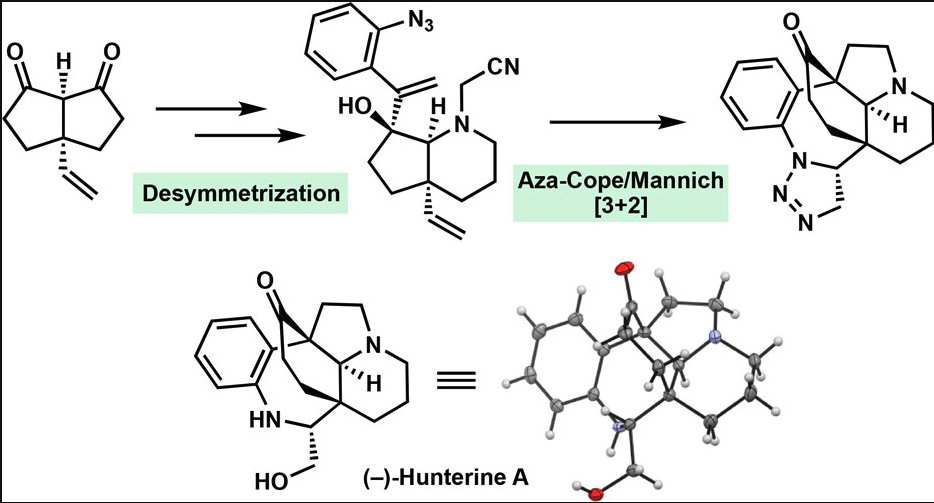 Total Synthesis tweet media
