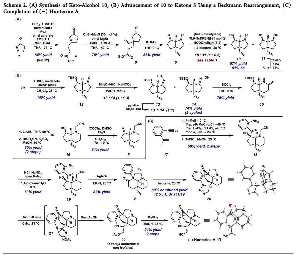 Total Synthesis tweet media