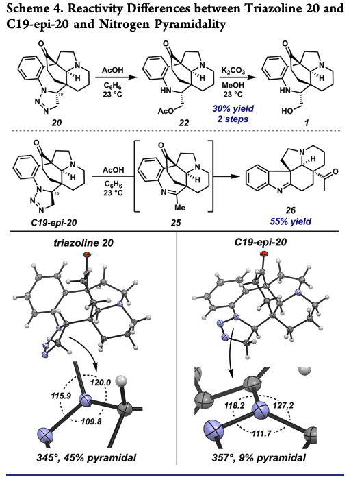 Total Synthesis tweet media