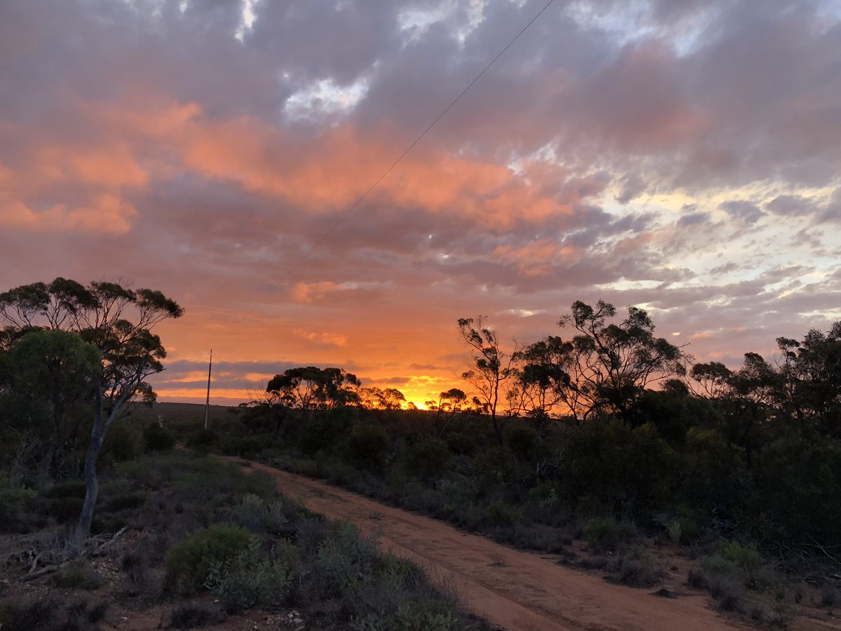 Anna Frances Probert tweet media