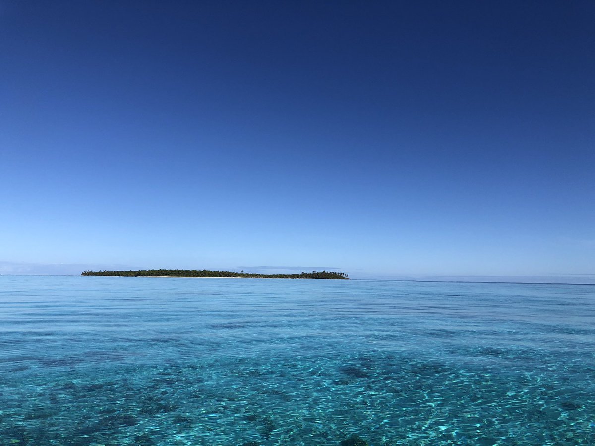 Anna Frances Probert tweet media