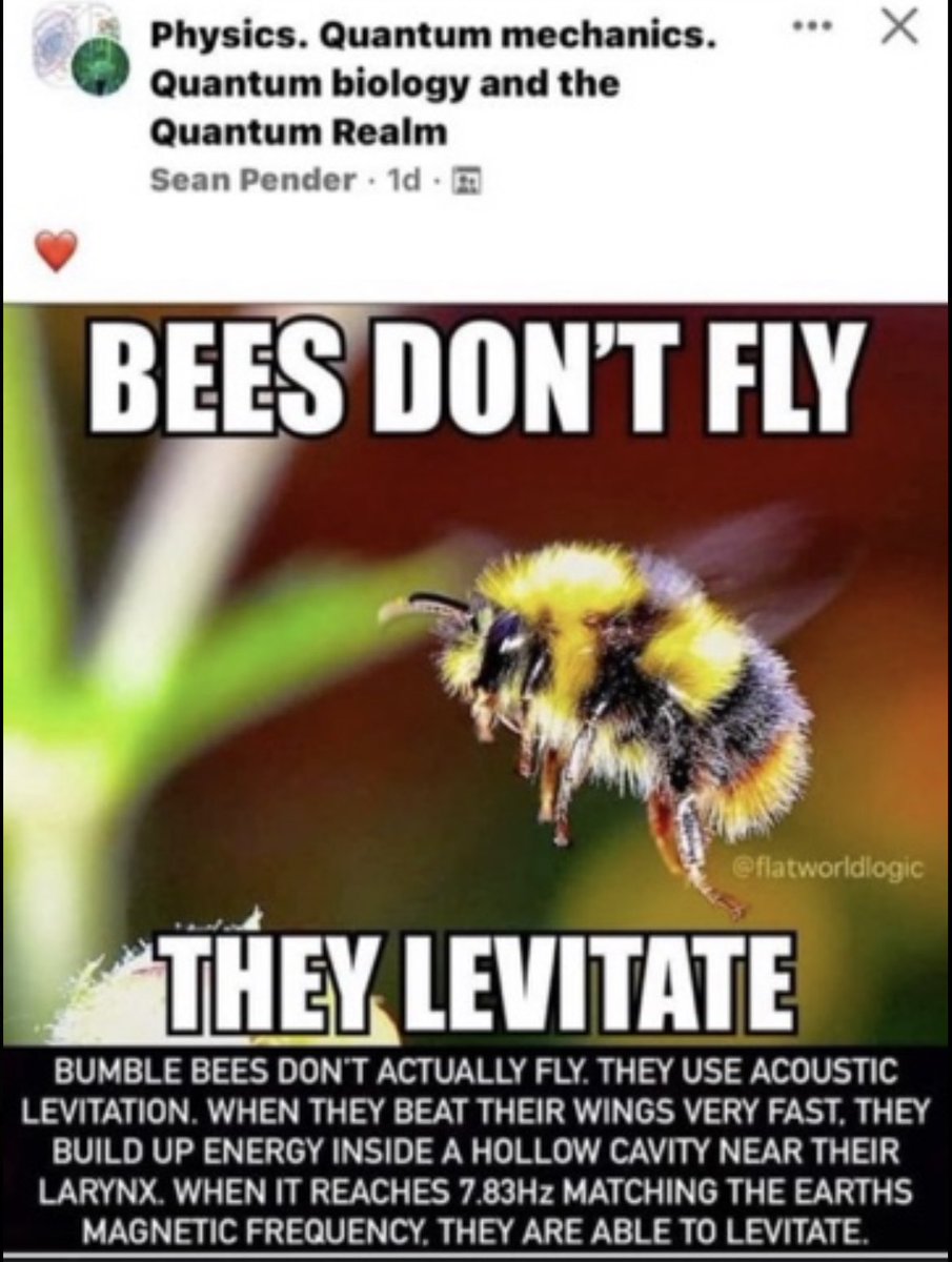 0️⃣BlackBetty ⚓️ tweet media