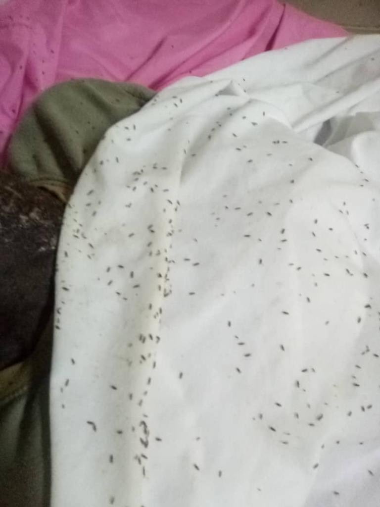 Actions4Freedom's tweet photo. Another reason why the 
#Cuba regime is a #FailedState 

#CubaHealth #CubaEstadoFallido #CubaViveyVence #CubaporlaVida 

Patient abandoned at Hospital La Dependiente (10 de Octubre). 

#PCCTerrorista https://t.co/54rTm80jBy
