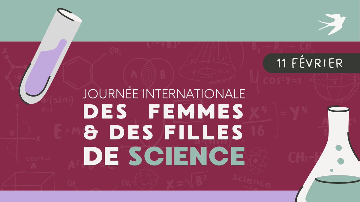 Bien que 34 % des Canadien·nes titulaires d'un diplôme dans les domaines des sciences, de la technologie, de l'ingénierie et des mathématiques (STIM) soient des femmes, elles ne représentent que 23% des Canadien·nes travaillant dans ce domaine. 🔬

#ÉgalitéDesGenresCanada #STEM