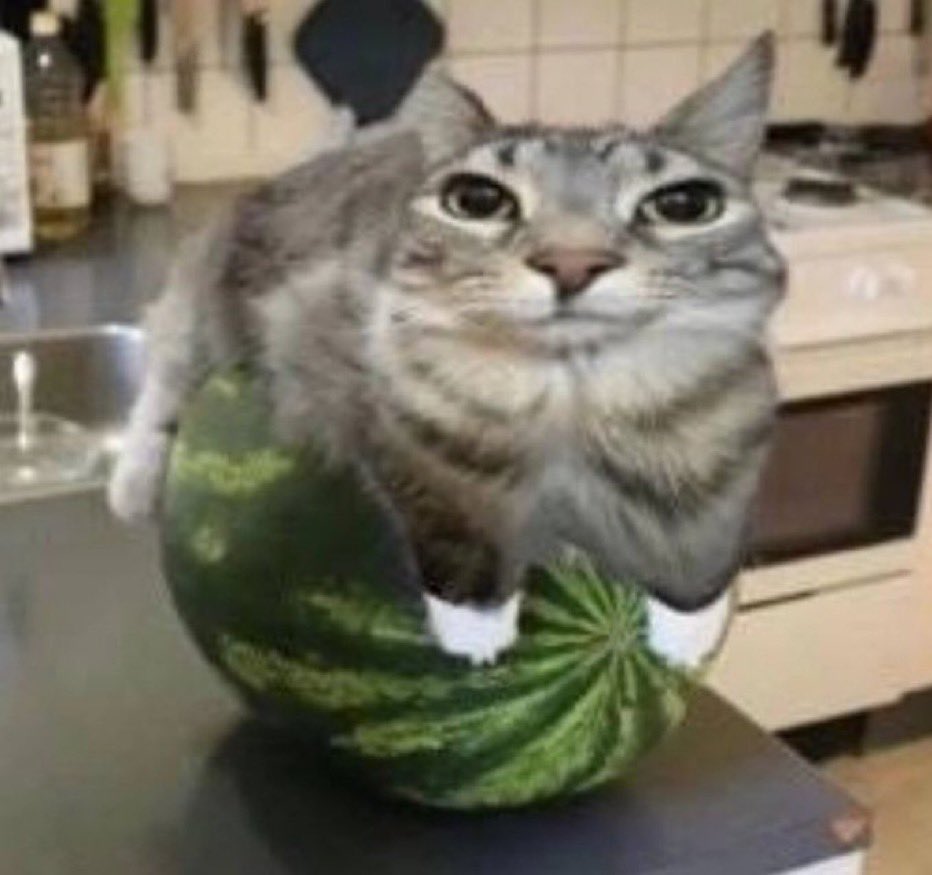 New management 
-Cupid