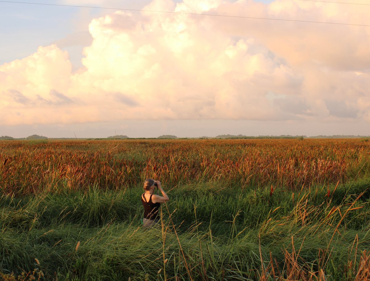 LandTrustforLA's tweet photo. Your girl doesn't want flowers. She wants to know that Louisiana's irreplaceable lands &amp; waters will be protected, forever. This Valentine's Day, you can show love through a gift to the Land Trust: https://t.co/bzRrBosPEr https://t.co/gqDRE4BIX0