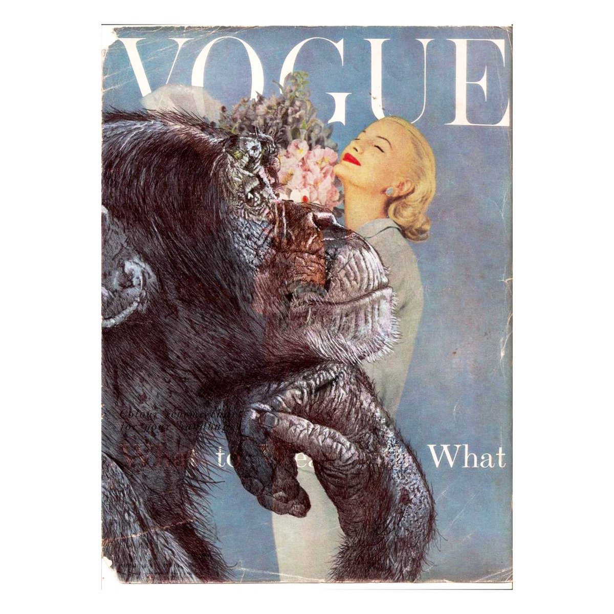 ScottMackie3's tweet photo. Am I a @voguemagazine model now? https://t.co/YOMcI4ofYD