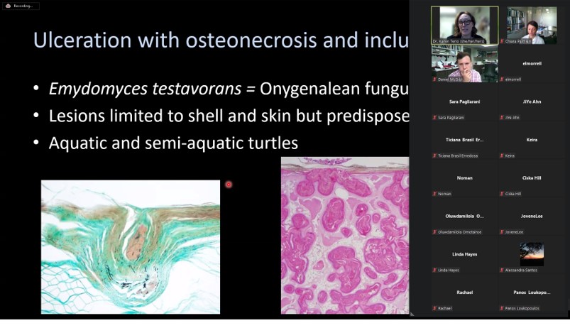 We have been so lucky to have had Dr Karen Terio talking about wildlife pathology today for our weekly gross tutorials . It was just amazing ....