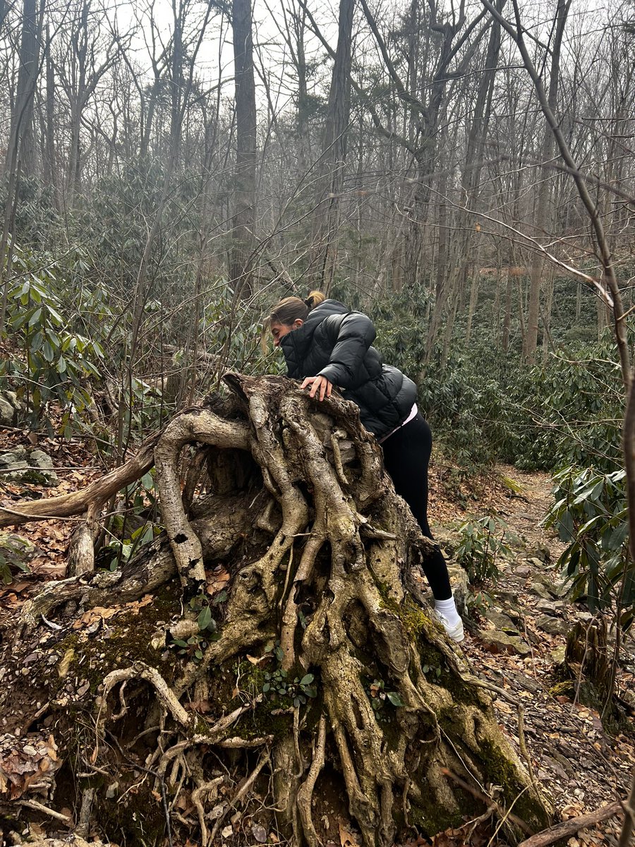 bvimbor11's tweet image. 🦋🦋🦋🦋🦋🦋