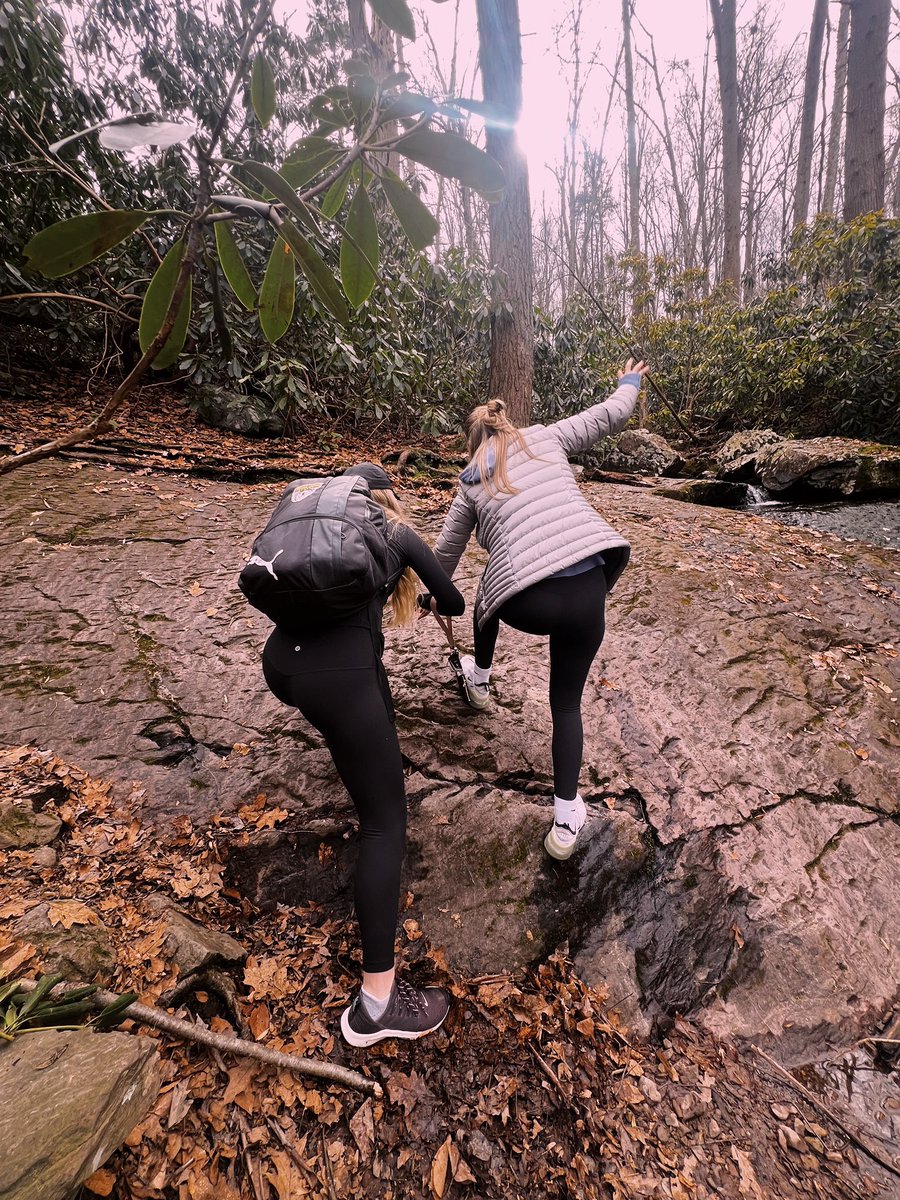 bvimbor11's tweet image. 🦋🦋🦋🦋🦋🦋