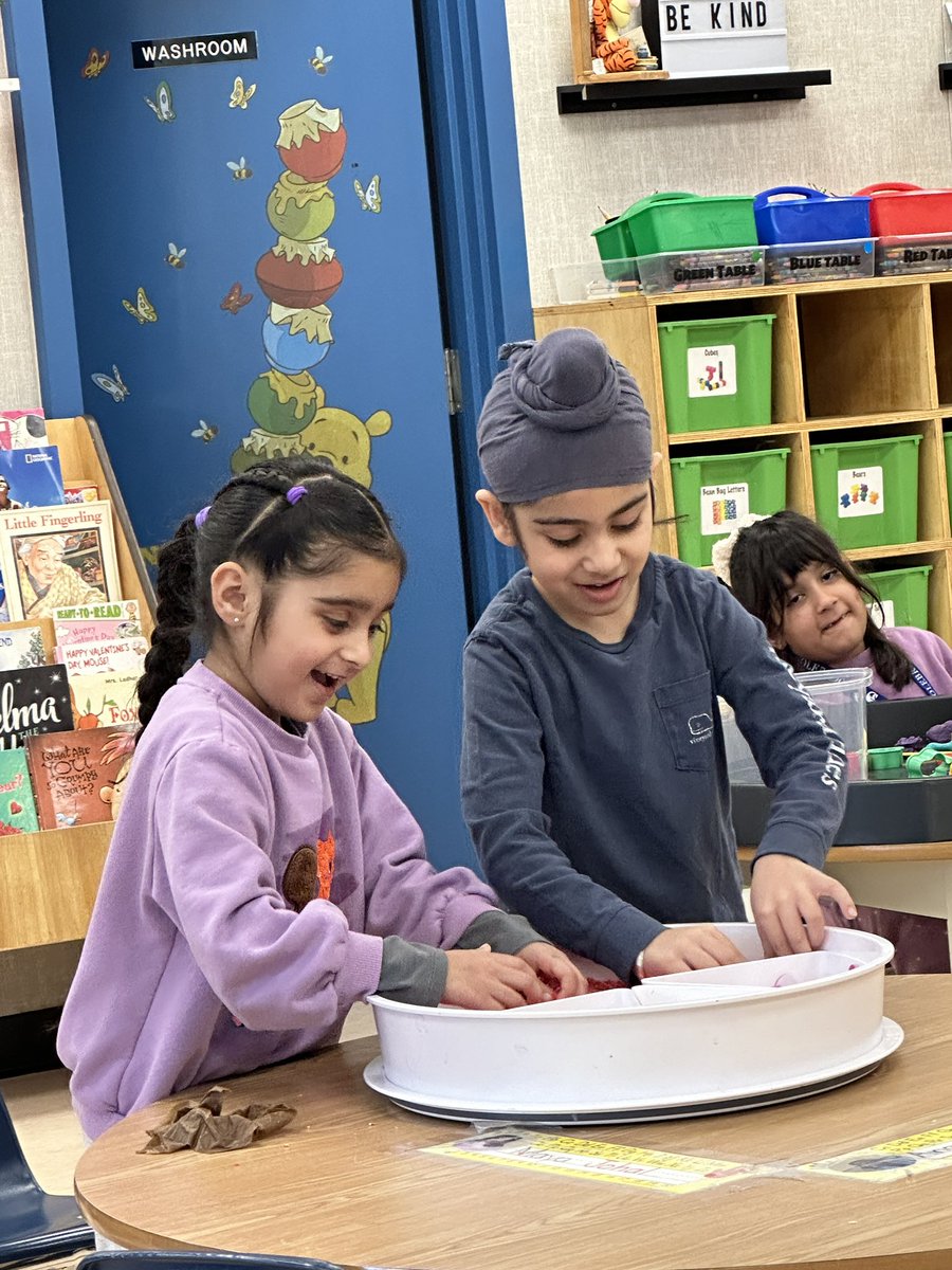 MrsLadhar's tweet photo. Play is our favourite way to learn! #sd36learns https://t.co/2EcPaL4EGU
