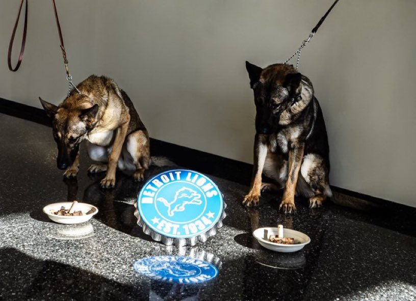 Austan_Goolsbee's tweet photo. Unfortunately, the Lions didn’t make last night’s Super Bowl

But by a 95%-5% vote of Fed employees, we decided they were not at fault and did their jobs so deserved treats, anyway. So we gave them beef. They loved it.

Please join me in congratulating them for a job well done. https://t.co/tf8KmxCW9A