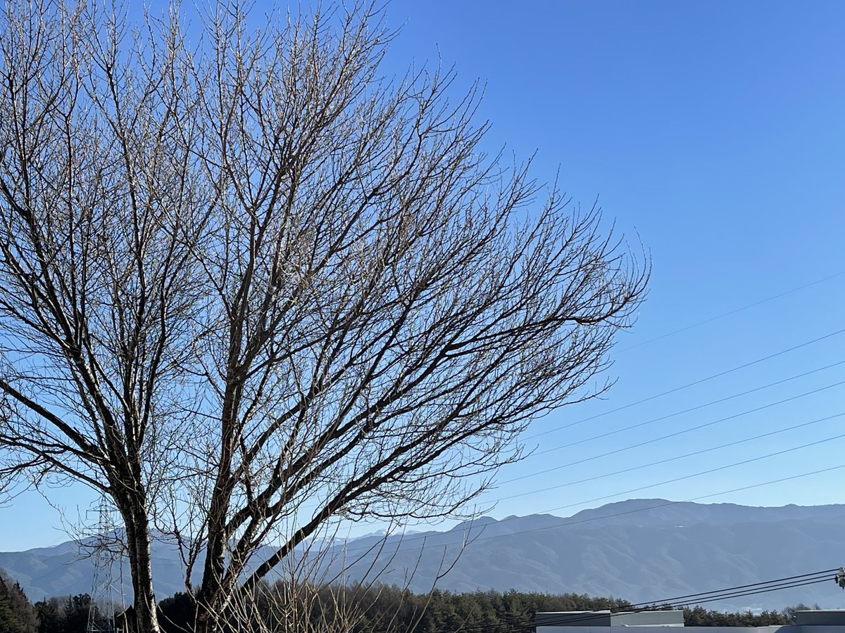 sunkk_eigyou's tweet photo. おはようございます🌄 
#伊那市 の天気は晴れ☀️9時の気温は1℃です  
日中は12℃まで気温があがり暖かくなるようです
本日もよろしくお願いします      
#企業公式が毎朝地元の天気を言い合う 
#企業公式冬のフォロー祭り https://t.co/BdP7CtzAkw