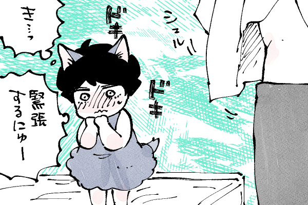 🐱キラキラにゃんこ生活
よろしくお願いしますにゅ〜🫣💦 