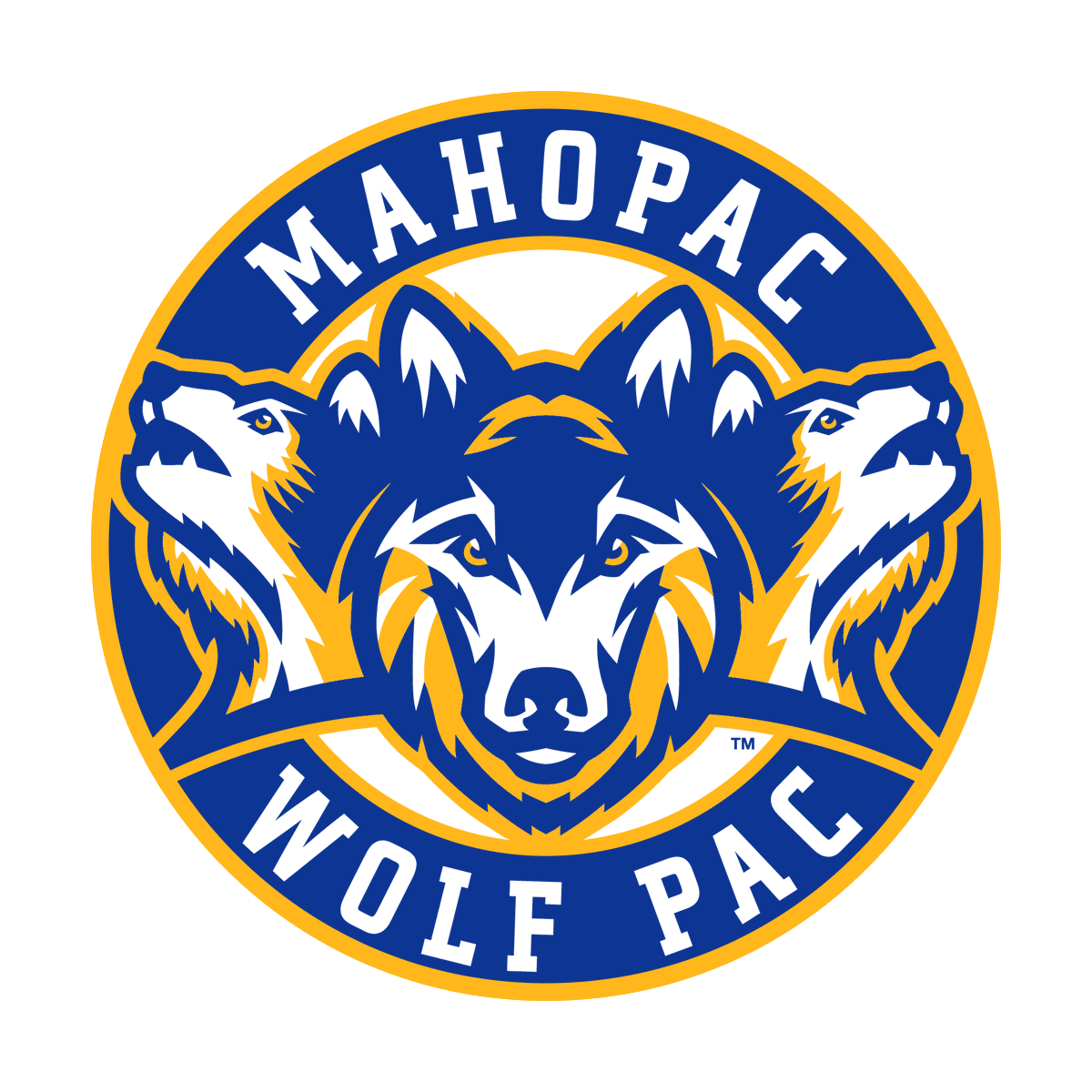 Due to the impending winter storm, the Mahopac Central School District will be closed tomorrow, February 13, 2024. Thank you and be safe.