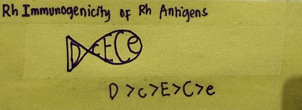 Paano ko naaalala ang immunogenicity ng Rh antigens HAHAHA
