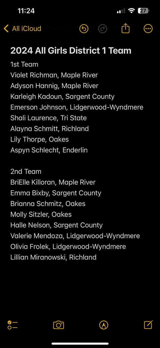 All District 1 Girls Basketball Team 

Senior Athlete of the Year 
Halle Nelson, Sargent County

Coach of the Year 
Nathan Hoots, Maple River 
#NDpreps