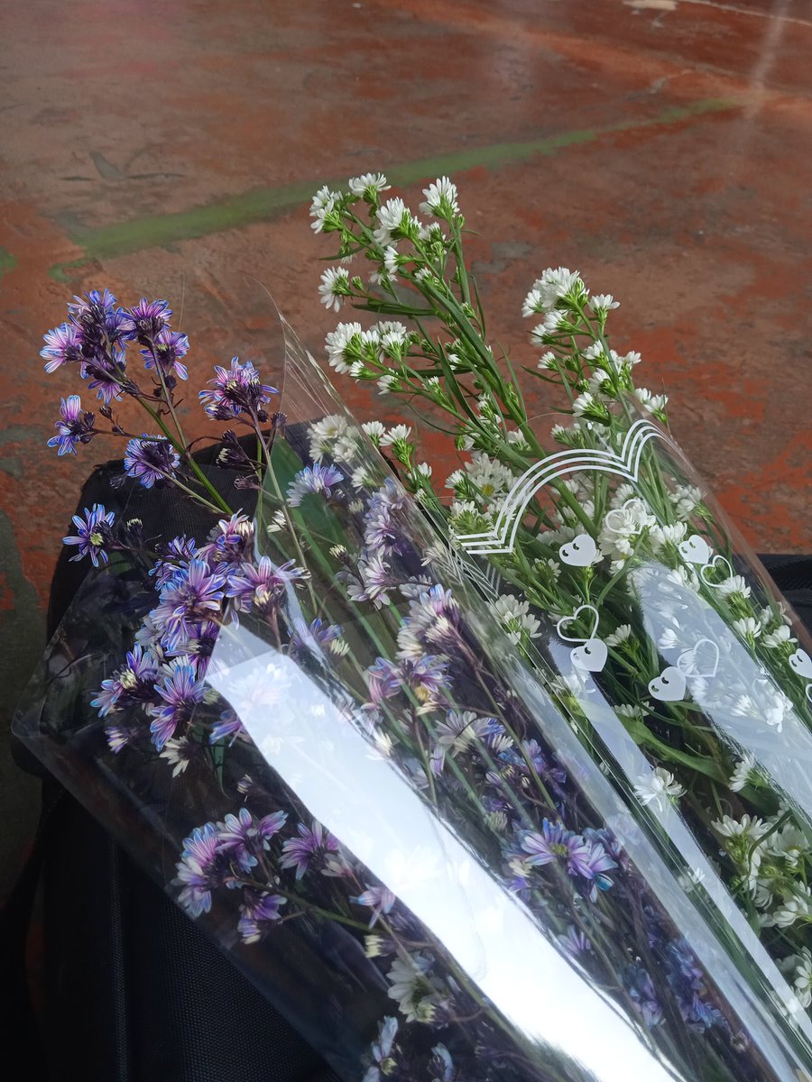 ประกาศจากทางผุ้ดูแลของอธีน่า

วันนี้เป็นวันจบการศึกษาของเราค่ะทุกคน เราขอโทษเพื่อนๆบอทด้วยนะคะที่ไม่ได้เข้าเลย วุ่นมากจริงๆ ยังไงก็ขอบคุณที่อยู่ด้วยกันมาตลอดนะคะ ตอนนี้จะจบการศึกษาแล้วค่ะ