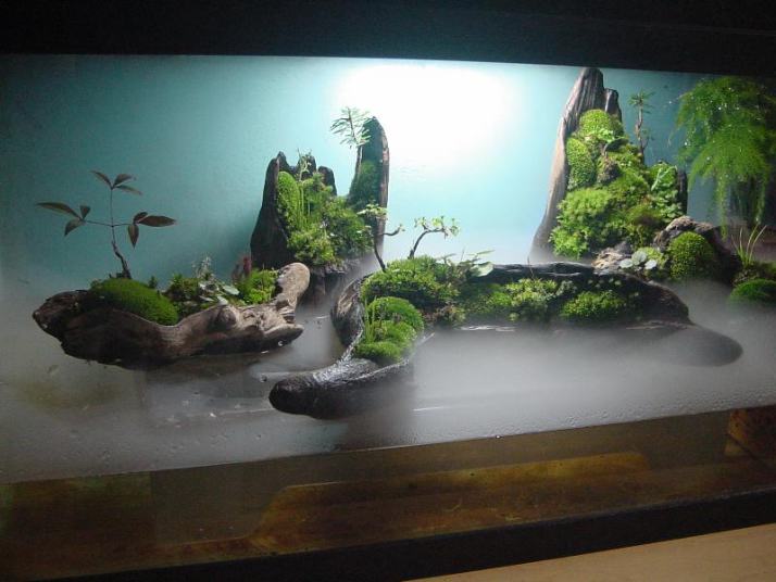 icb35250's tweet photo. 苔盆景  小宇宙の世界です  調布カルチャーセンター、ココスクエア2階　第一月曜日・第二土曜日　13:00～15:00  https://t.co/SyB3G7Wxm2 #苔 #苔盆景 #盆景 #苔盆景入門 #小宇宙の世界 #中国山水画 #mosslove #苔テラリウム #苔玉 #苔ワークショップ #苔教室 #苔盆栽 #多肉 #多肉植物 #観葉植物 https://t.co/eJyqLDihxL