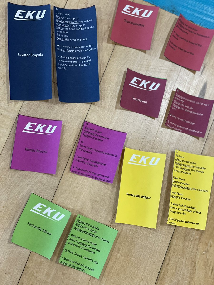 Exercise &amp; Sport Science students taking some time to enjoy playing the anatomy version of the game Memory. Competitive spirits made the games fun! 10/10 I will definitely be doing this assignment again! <a href="/EKU_ESS/">EKU Exercise & Sport Science</a> <a href="/EKU_CHS/">EKU CHS</a>