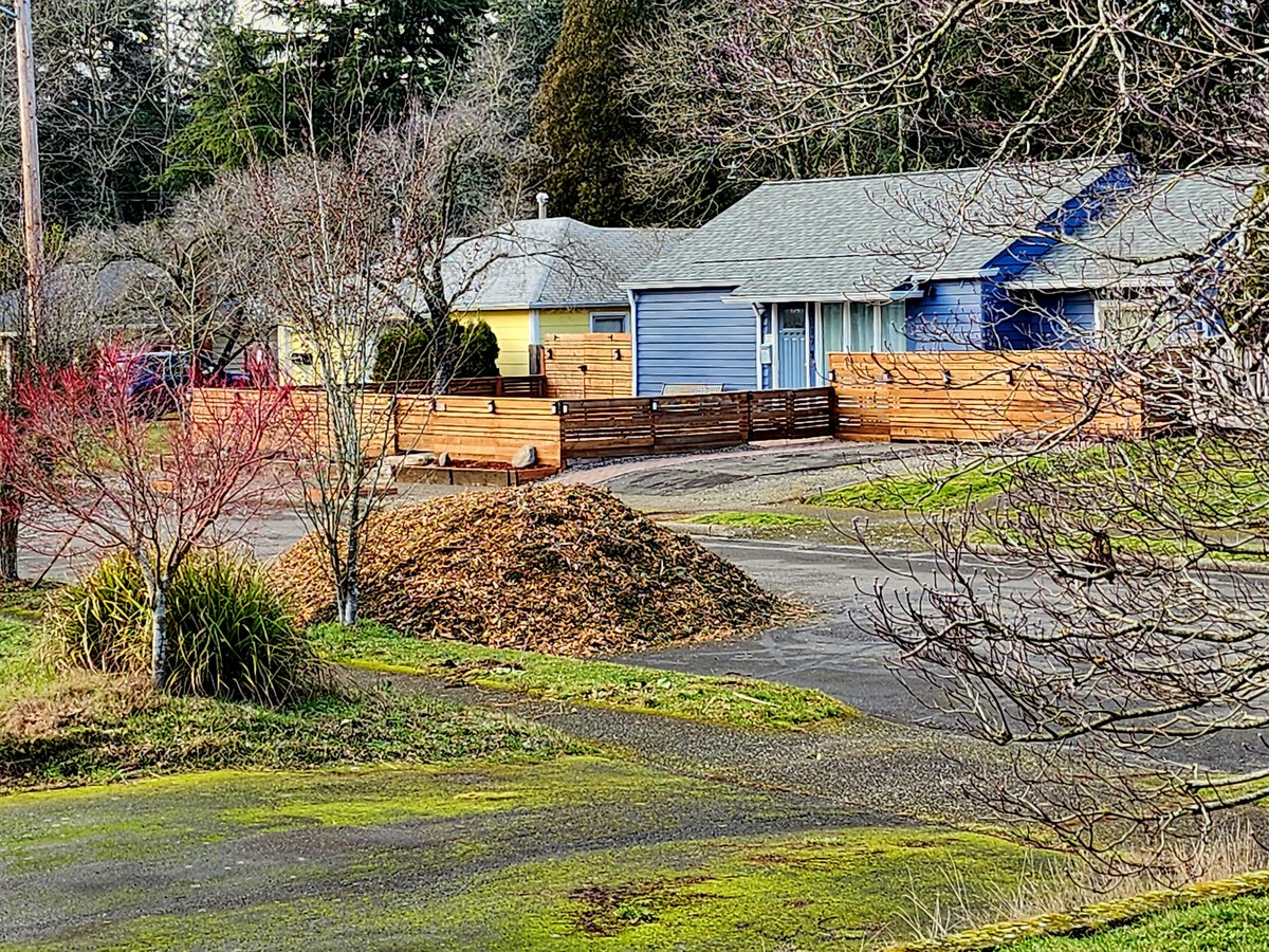 ⛑Accident Bandicoot⛑ tweet media