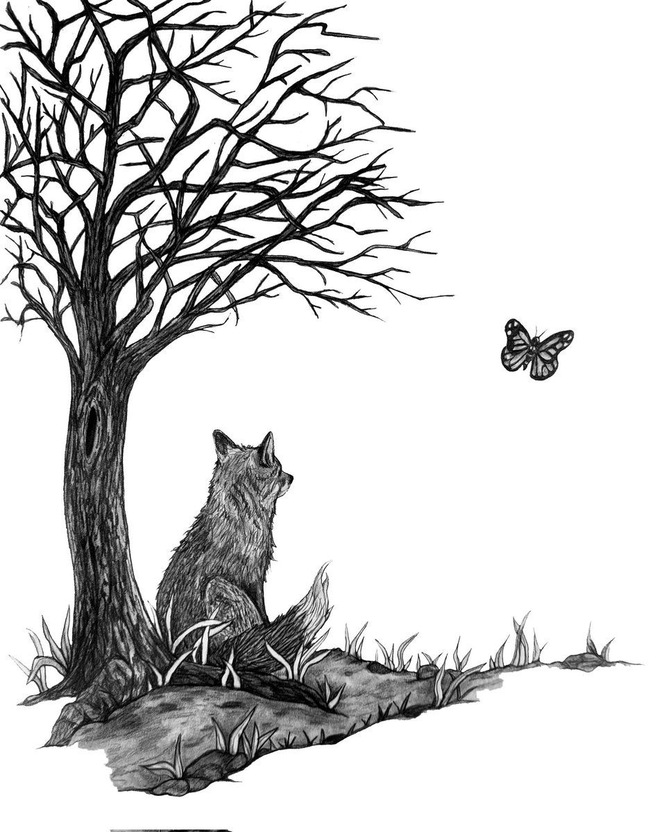 Waiting for Spring
8'×10' pencil on bristol paper
#art #artist #Pencildrawing #pencil #fox #forest #tree #butterfly #monarchbutterfly
