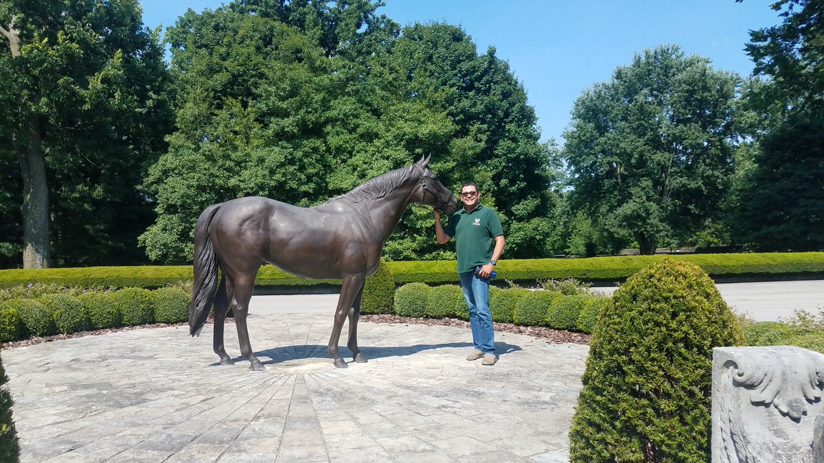 higvg's tweet image. #EntreHipicos Giant’s Causeway (estatua) en Coolmore 2019, padre de Not This Time y este a su vez de #NoMoreTime