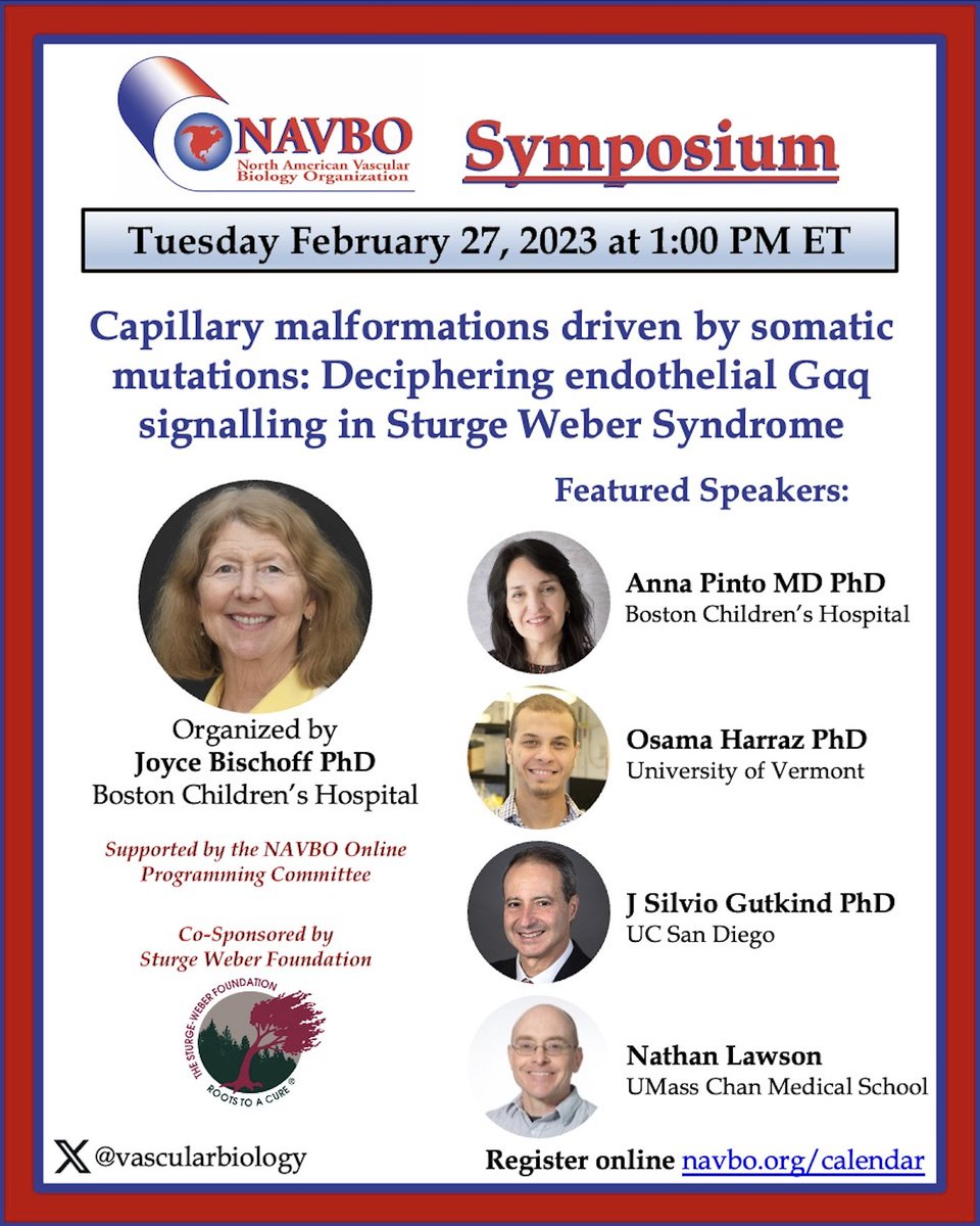 Join us Feb 27 1PM EST. #NAVBO Symposium on capillary malformations driven by somatic mutations: Gαq & SWS organized by @BischoffJoyce; @SturgeWeber. Featuring @Harraz_Lab @LawsonZFLab @SilvioGutkind & Dr. Anna Pinto. Register at: conta.cc/49dZxlb