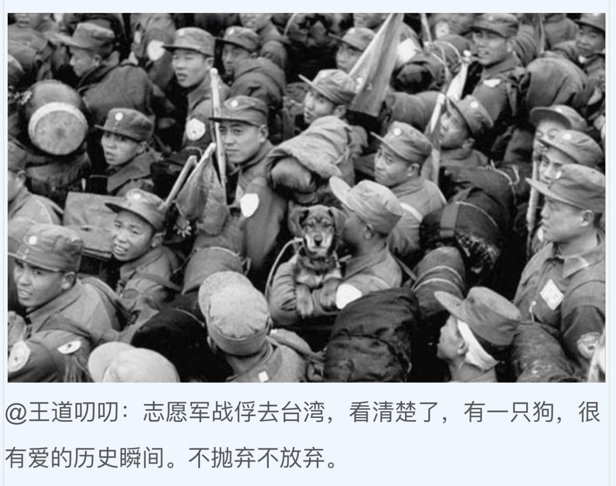 TruthMedia123's tweet photo. 朝鲜战争中，约有2万志愿军战俘，战争结束后，约1.4万去了台湾，返���大陆的志愿军战俘只有6000余人，原本有2900多人为共产党员，绝大多数都被开除了党籍，大部分战俘被遣返回乡并在档案中注明“控制使用”，有一些因为“特务”罪名被判刑。文革爆发后，相当多战俘受到批斗迫害。 https://t.co/pVM2gvnJI4