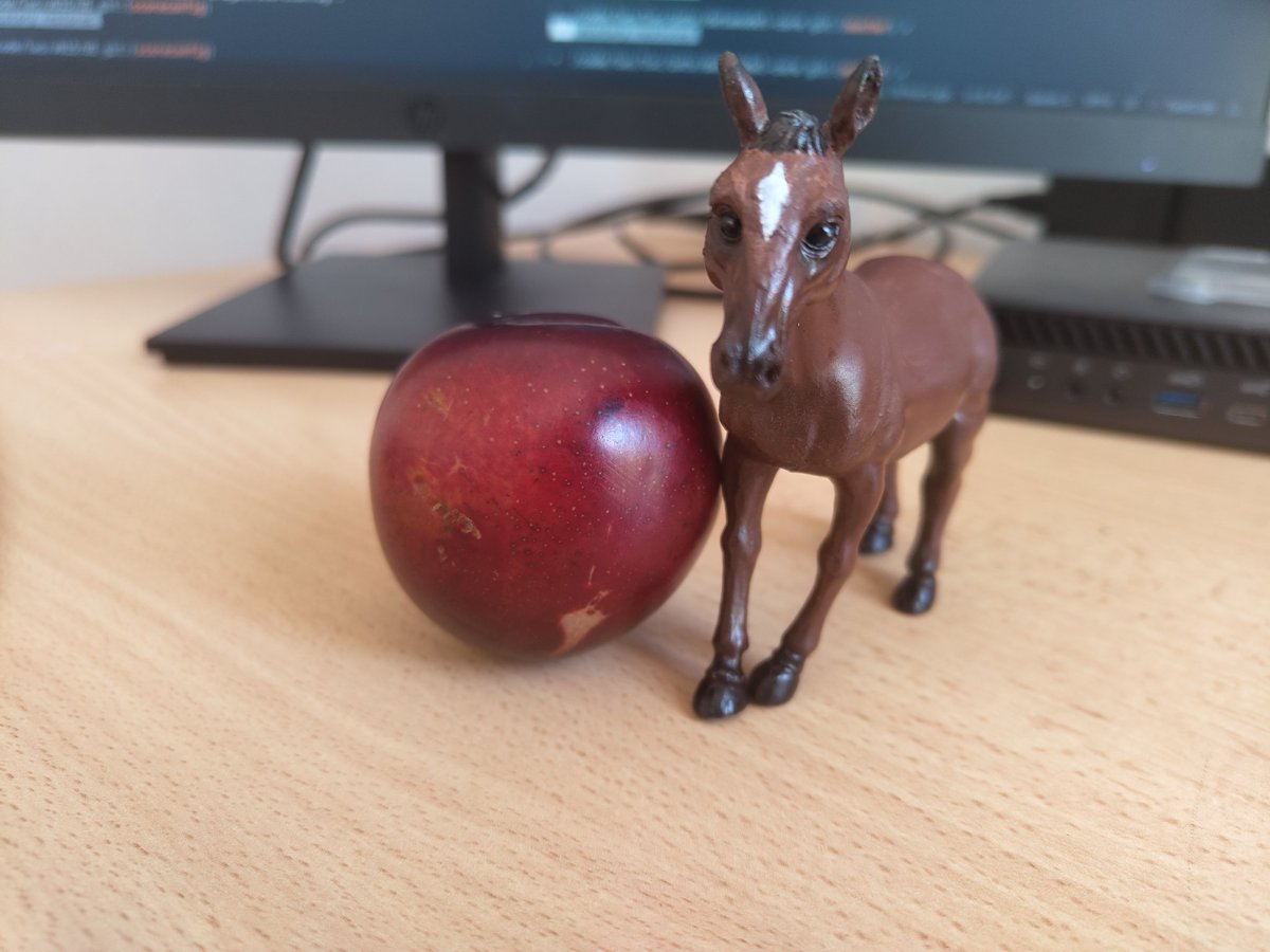 Aidymouse's tweet photo. He is small as a plum https://t.co/mBAbppqSTT
