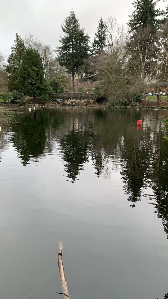 CStickermonkey's tweet image. you know i’ve never swam for glass but i definitely would! Maybe this will be the year!? 🤣🐲 

Anyone got any good swimming stories?
#Monkeyshines2024