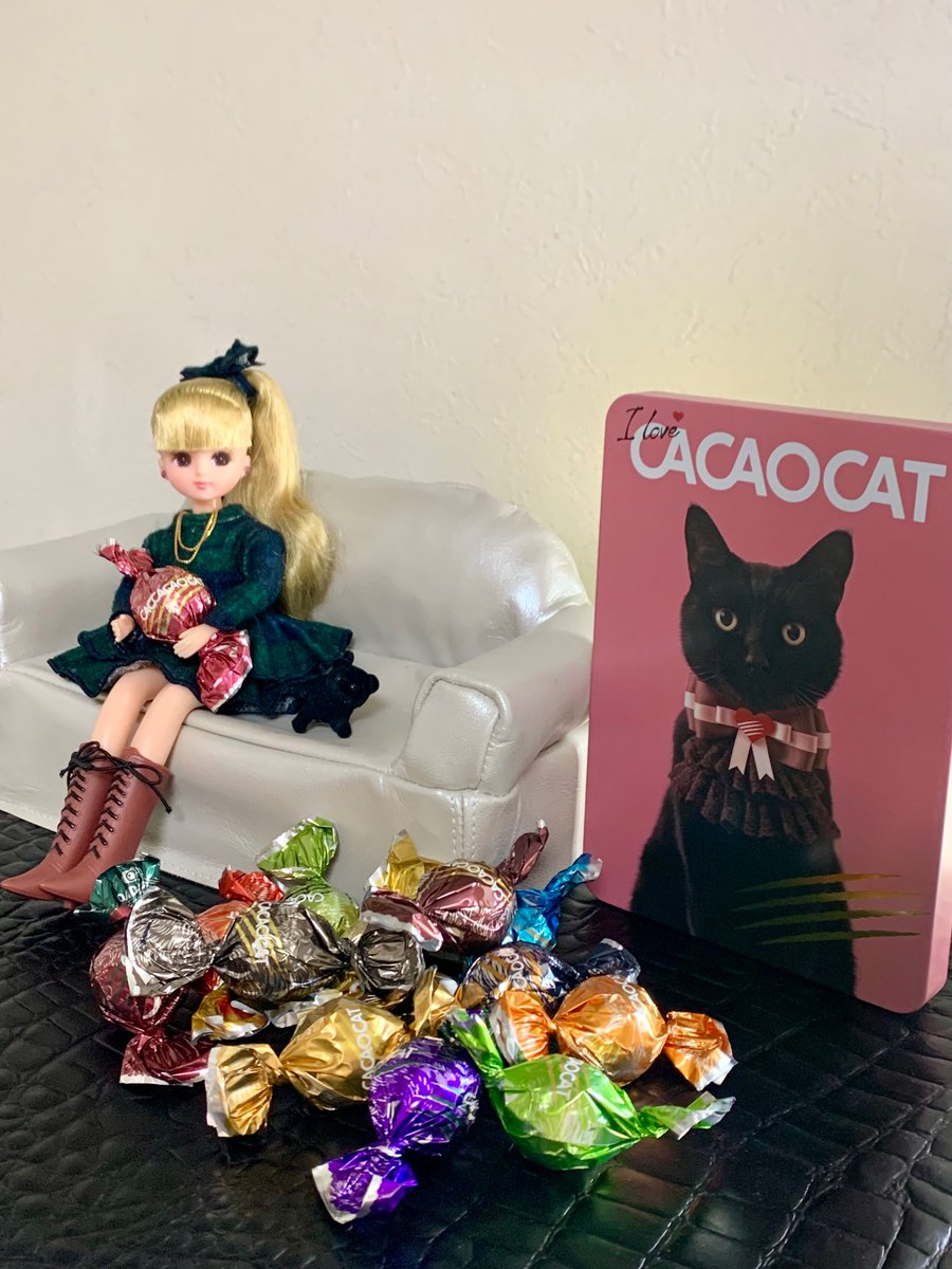 liccaboo's tweet photo. 究極のにゃめらかさ♪
CACAOCATのチョコ
めっちゃおいしい〜♡
#cacaocat https://t.co/g73kzmxEf2