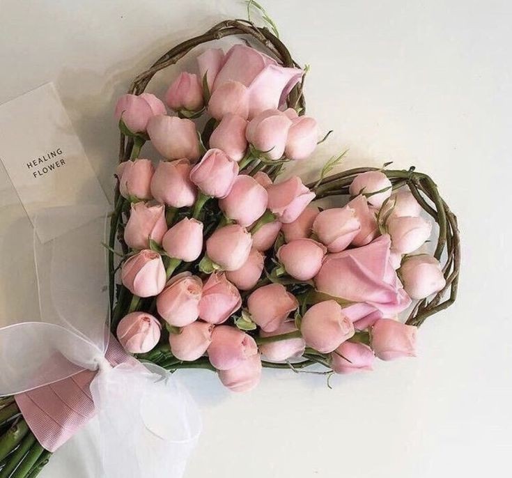 ✮⋆˙ tweet media