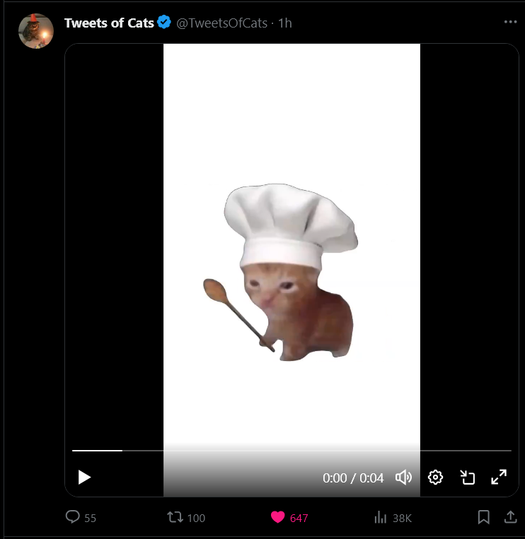 ♻️🫧𝗻𝗮𝘀𝗵𝗮𝗹𝗼𝗻𝗲.𝗰𝗼𝗺 tweet media