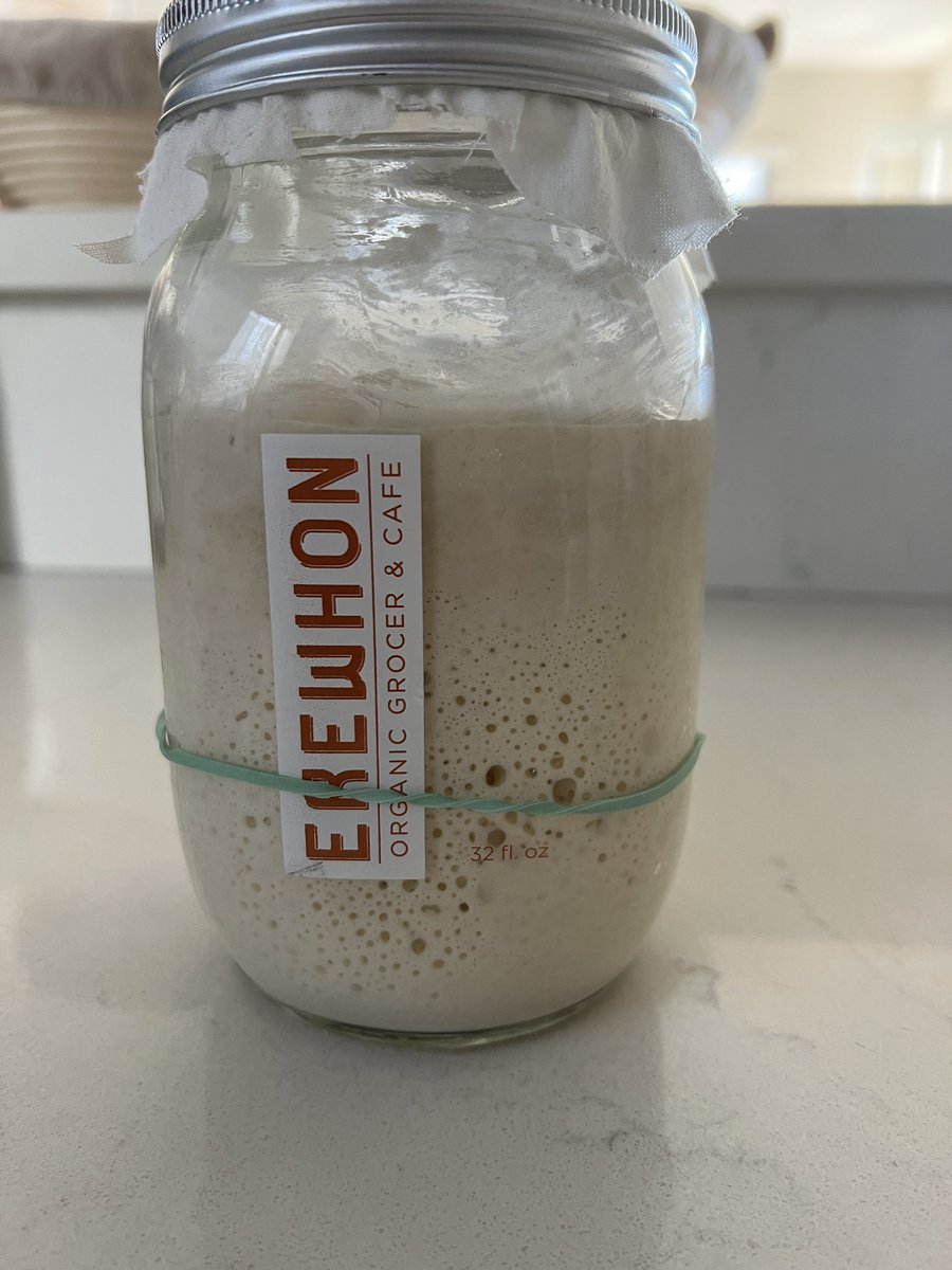 Current hobby; making unreal sourdough from scratch