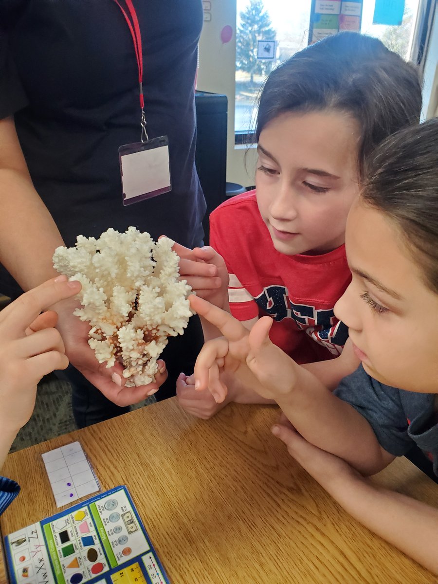 HFCAcademy's tweet photo. Our 2nd grade scientists met with representatives from the renowned Shedd Aquarium as they prepare for their IB Unit- Sharing the Planet. IB expands learning outside of the classroom helping students explore global issues. An awesome in-house field trip! https://t.co/F0YUxAVWZm