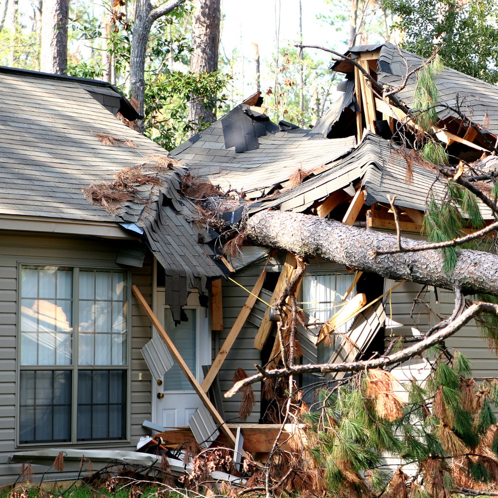 When collecting debris, exercise caution! Our blog highlights the risks and precautions to take during cleanup efforts. 🚨👷‍♂️

Read more 👉 lttr.ai/AOew4

#Hurricane #Hurricanepreparedness #HurricaneImpact #HurricaneAwareness