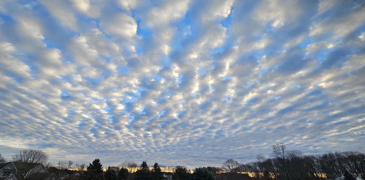 CJ Howard tweet media